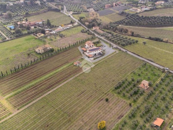 terreno agricolo in vendita a Frascati