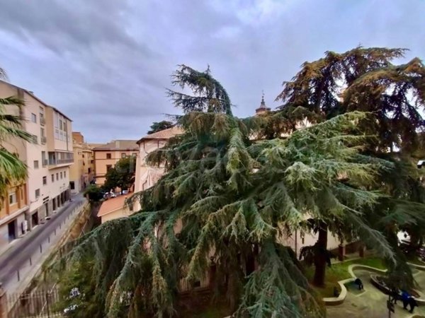 appartamento in vendita a Frascati