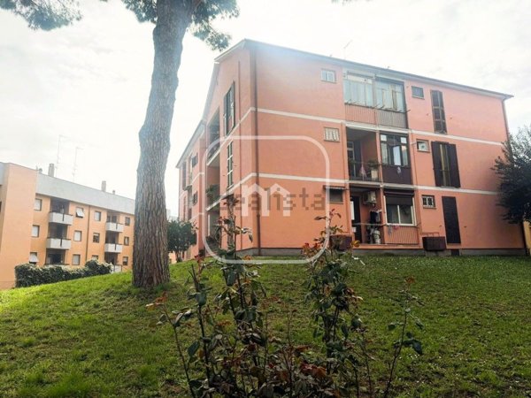 appartamento in vendita a Frascati