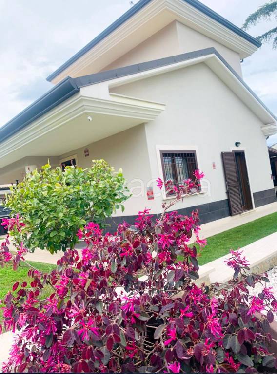 casa indipendente in vendita a Frascati