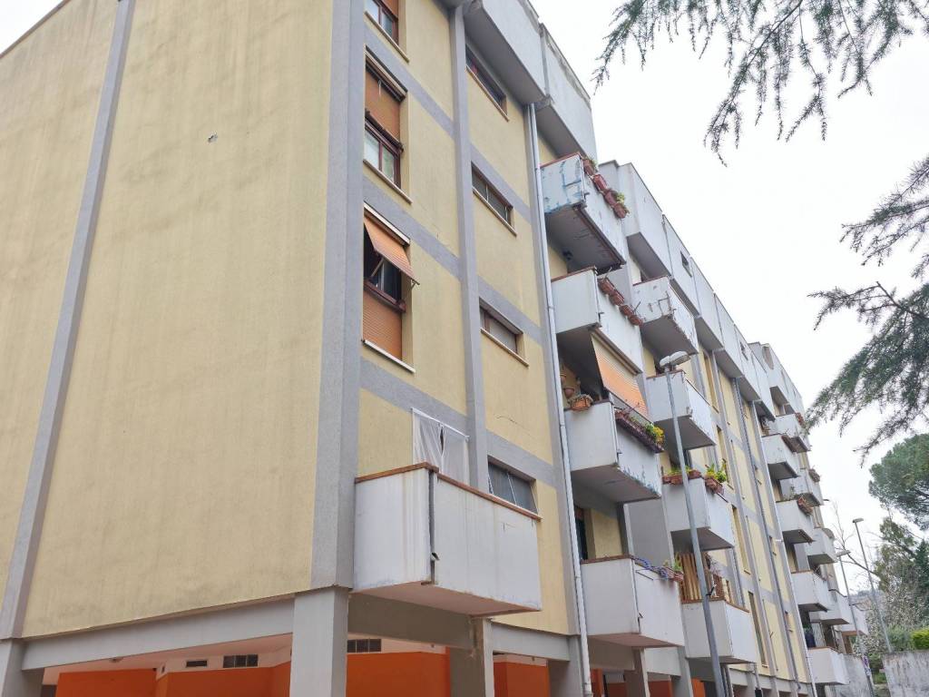 appartamento in vendita a Frascati