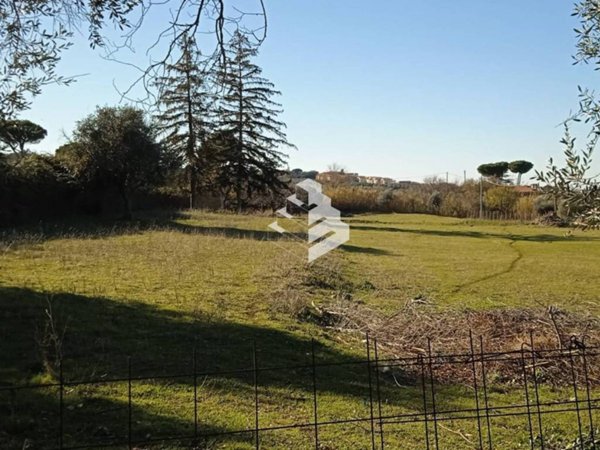 terreno agricolo in vendita a Frascati