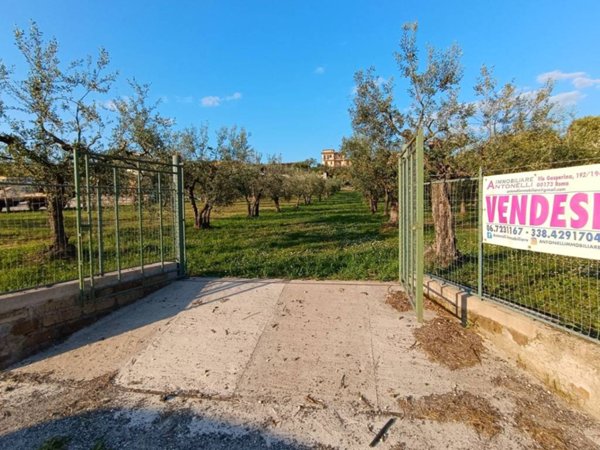 terreno agricolo in vendita a Frascati in zona Pantano Secco