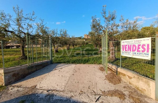 terreno agricolo in vendita a Frascati in zona Pantano Secco