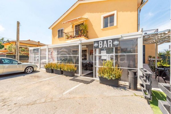 negozio in vendita a Frascati