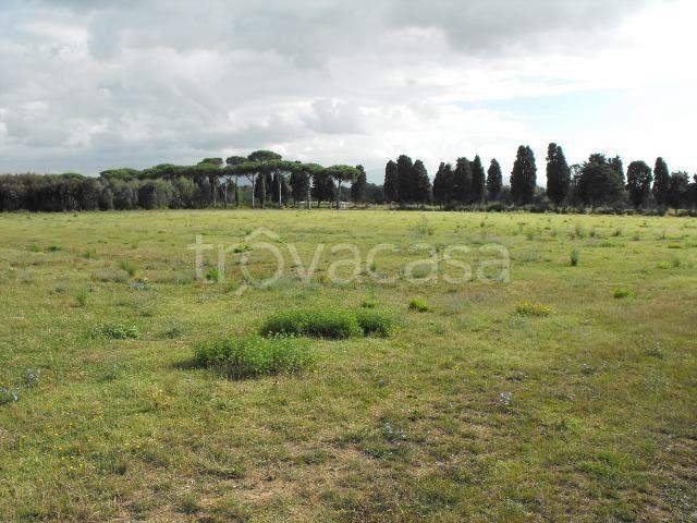 terreno edificabile in vendita a Frascati