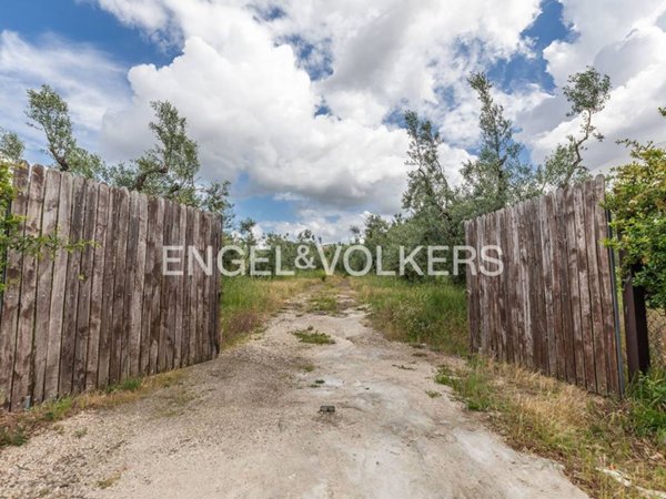 terreno agricolo in vendita a Frascati in zona Cisternole