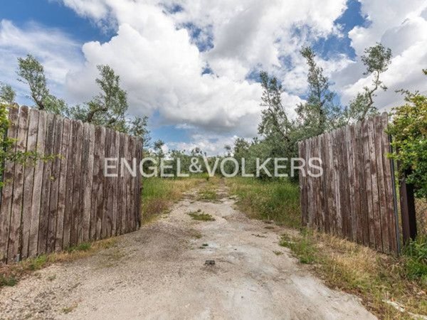 terreno agricolo in vendita a Frascati in zona Cisternole