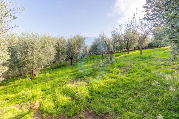 appartamento in vendita a Frascati