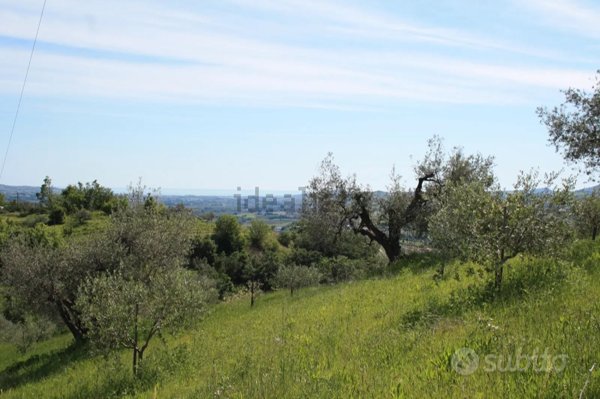 terreno agricolo in vendita a Frascati in zona Cisternole