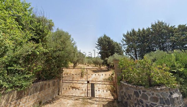 terreno agricolo in vendita a Frascati in zona Cisternole