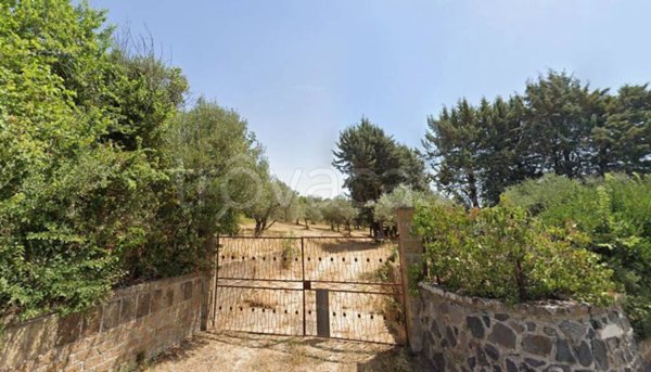 terreno agricolo in vendita a Frascati