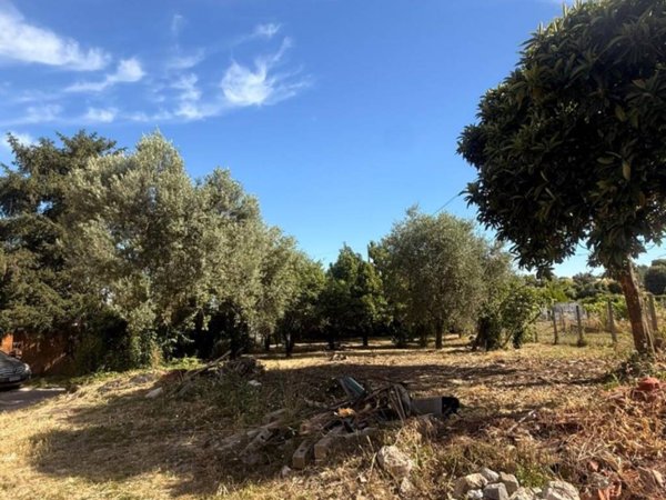 casa indipendente in vendita a Frascati