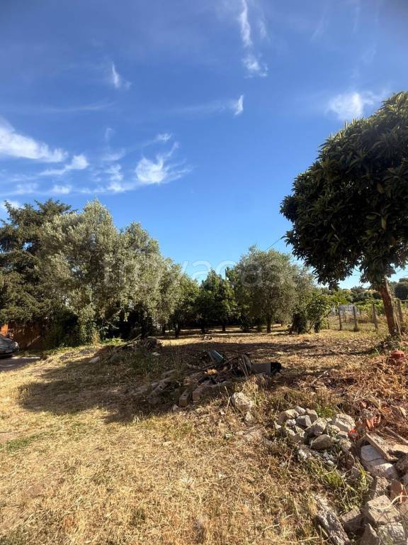 casa indipendente in vendita a Frascati