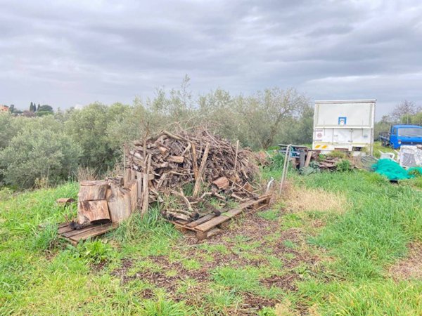 terreno agricolo in vendita a Frascati