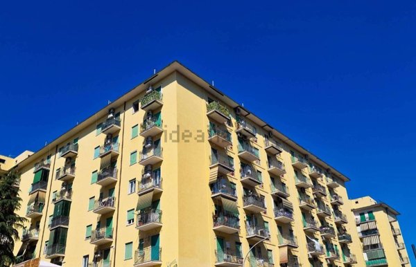 appartamento in vendita a Frascati