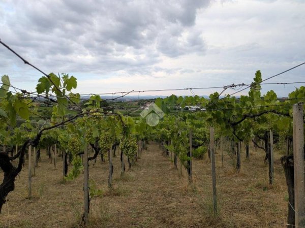 terreno agricolo in vendita a Frascati in zona Pantano Secco