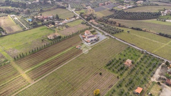 terreno agricolo in vendita a Frascati in zona Prataporci