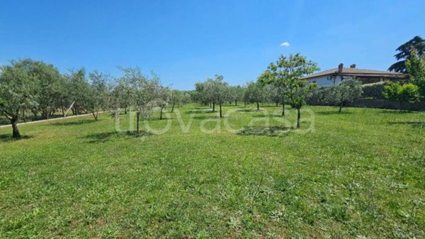 terreno agricolo in vendita a Frascati in zona Prataporci
