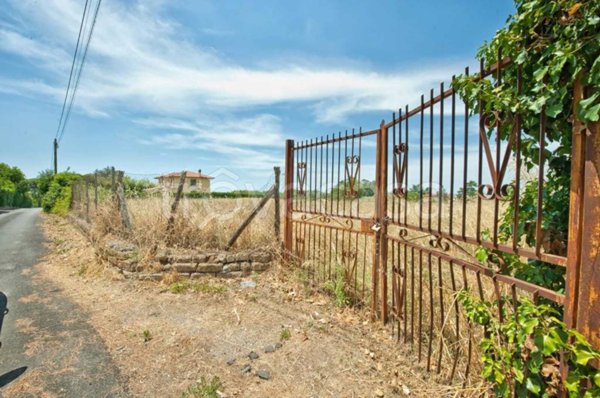 terreno agricolo in vendita a Frascati