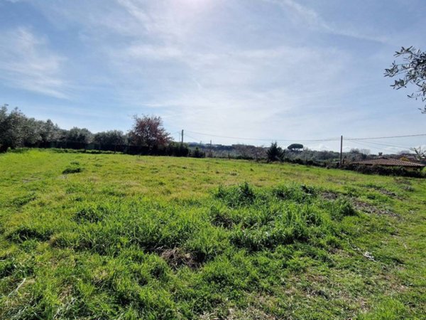 terreno agricolo in vendita a Frascati