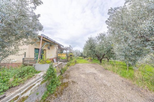 terreno agricolo in vendita a Frascati