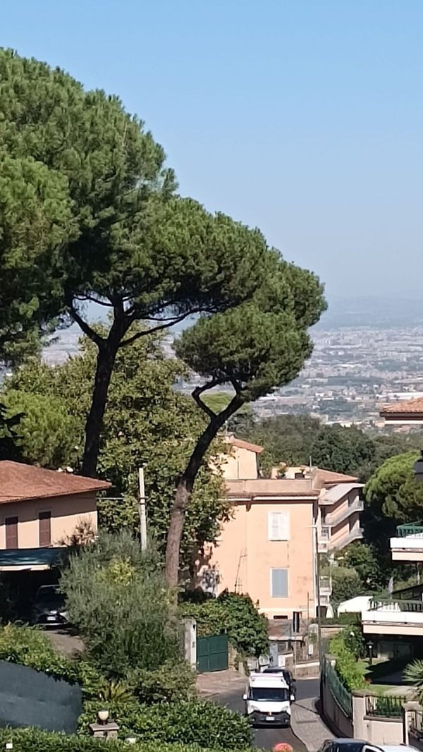appartamento in vendita a Frascati