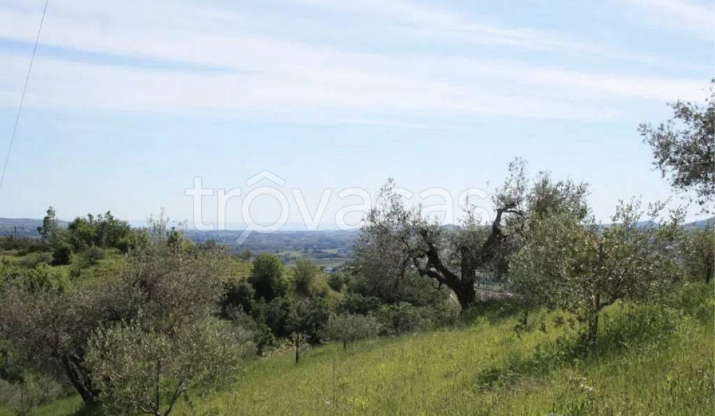 terreno agricolo in vendita a Frascati in zona Cisternole