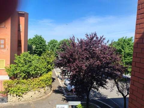 appartamento in vendita a Frascati