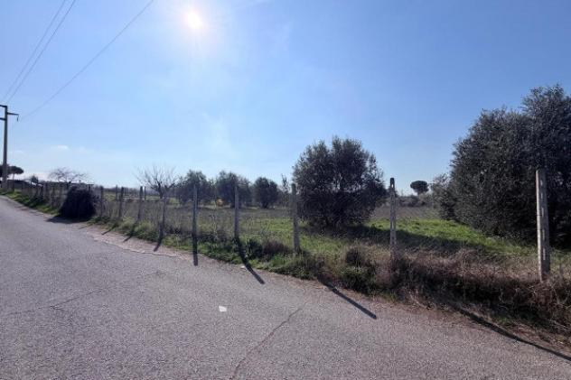 terreno in vendita a Frascati