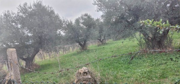terreno in vendita a Frascati in zona Cisternole