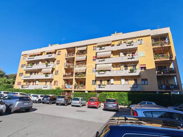 appartamento in vendita a Frascati