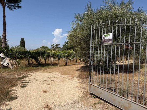 terreno in vendita a Frascati in zona Cisternole