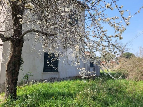 appartamento in vendita a Gallicano nel Lazio