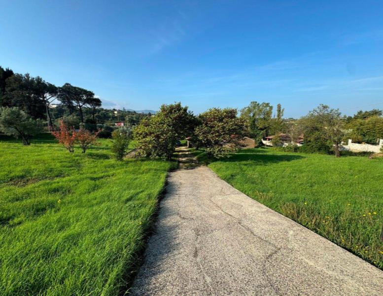 locale commerciale in vendita a Gallicano nel Lazio