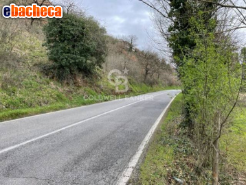 terreno agricolo in vendita a Gallicano nel Lazio