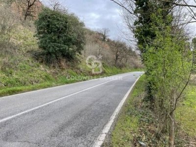 terreno agricolo in vendita a Gallicano nel Lazio