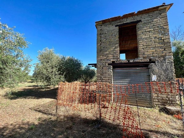 terreno agricolo in vendita a Gallicano nel Lazio