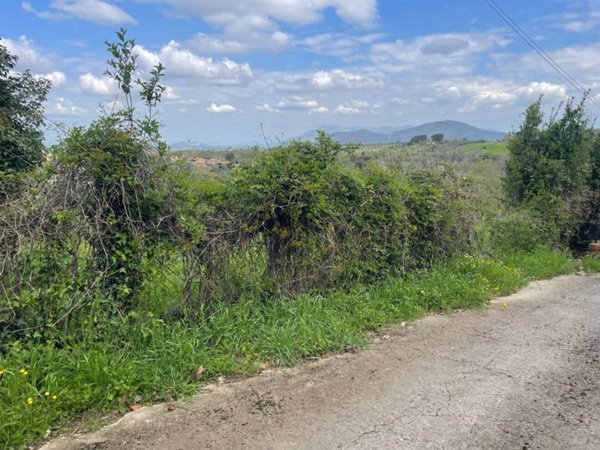 terreno agricolo in vendita a Gallicano nel Lazio
