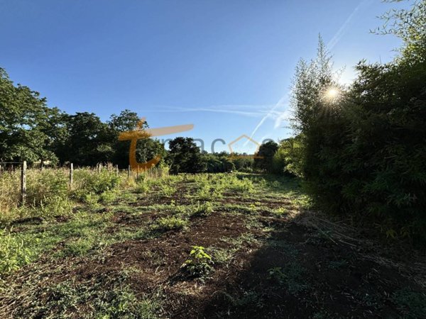 terreno agricolo in vendita a Gallicano nel Lazio