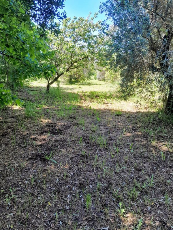 appartamento in vendita a Gallicano nel Lazio