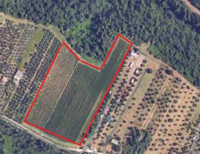 casa indipendente in vendita a Gallicano nel Lazio