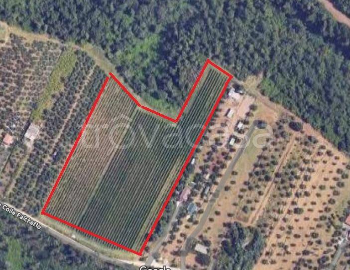 casa indipendente in vendita a Gallicano nel Lazio