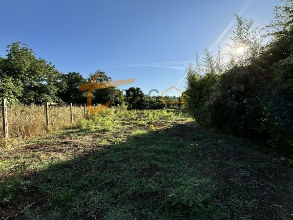 terreno agricolo in vendita a Gallicano nel Lazio