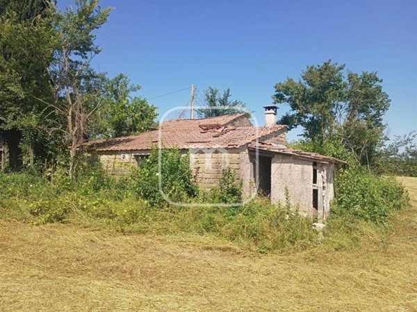 terreno agricolo in vendita a Gallicano nel Lazio
