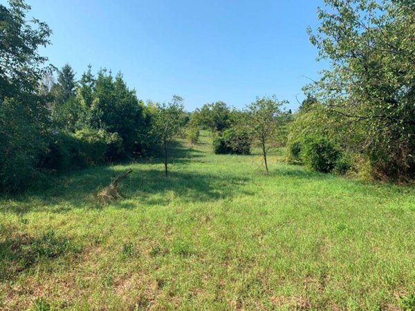 terreno agricolo in vendita a Gallicano nel Lazio