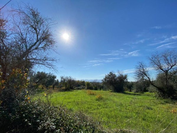 terreno agricolo in vendita a Gallicano nel Lazio