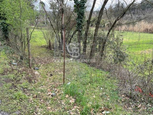 terreno agricolo in vendita a Gallicano nel Lazio