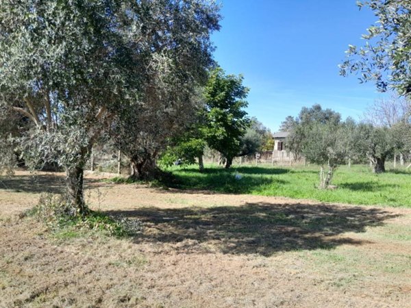 terreno agricolo in vendita a Gallicano nel Lazio