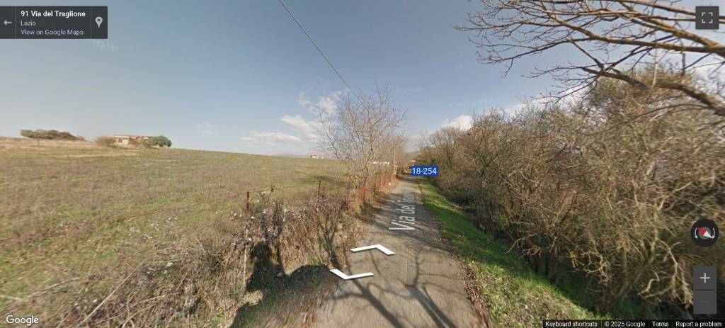 azienda agricola in vendita a Gallicano nel Lazio